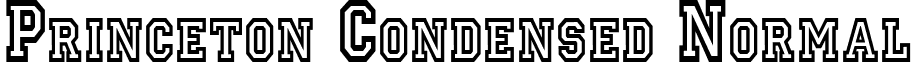 Princeton Condensed Normal font - Princeton_Condensed_Normal.ttf