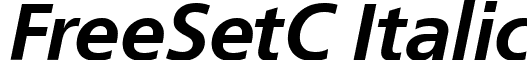 FreeSetC Italic font - PT_FreeSet_Bold_Oblique_Cyrillic.ttf