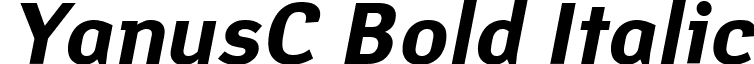 YanusC Bold Italic font - PT_Yanus_BoldItalic_Cyrillic.ttf