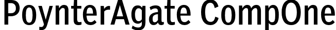 PoynterAgate CompOne font - PoynterAgate-CompOne.otf