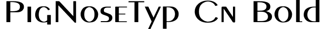 PigNoseTyp Cn Bold font - PigNoseTyp_Cn_Bold.ttf