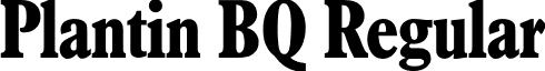 Plantin BQ Regular font - PlantinBQ-CondensedBold.otf
