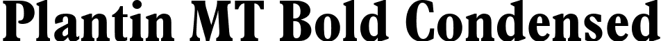 Plantin MT Bold Condensed font - Plantin_MT_Bold_Condensed.ttf