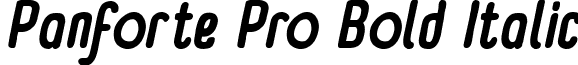 Panforte Pro Bold Italic font - Panforte Pro Bold Italic.ttf