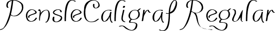 PensleCaligraf Regular font - PensleCaligraf_Regular.ttf