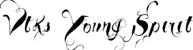 Vtks Young Spirit font - Vtks Young Spirit.ttf