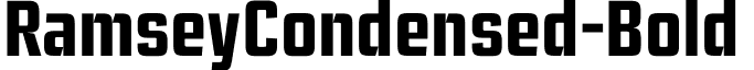 RamseyCondensed-Bold & font - Ramsey Condensed Bold.otf