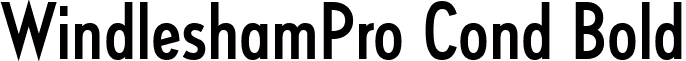 WindleshamPro Cond Bold font - Windlesham Pro Condensed Medium.ttf
