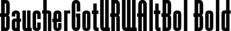 BaucherGotURWAltBol Bold font - Baucher Gothic URW Bold Alternates.ttf