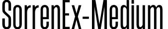 SorrenEx-Medium & font - Sorren Ex Medium.otf