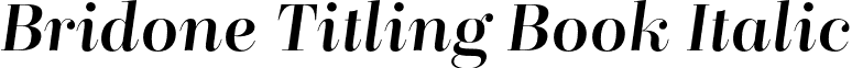 Bridone Titling Book Italic font - BridoneTitlingBook-Italic_9.otf