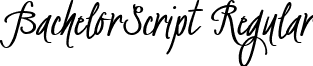 BachelorScript Regular font - BachelorScript Bold1.ttf