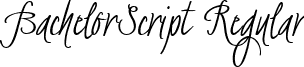 BachelorScript Regular font - BachelorScript Regular.ttf
