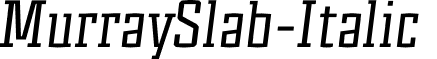 MurraySlab-Italic & font - Murray Slab Italic.otf