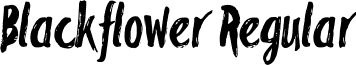 Blackflower Regular font - Blackflower.otf