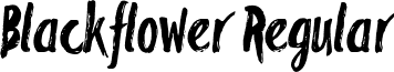 Blackflower Regular font - Blackflower.ttf