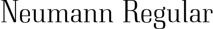 Neumann Regular font - neumann.regular.otf
