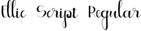 Ellic Script Regular font - Ellic Script 1.otf