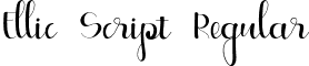 Ellic Script Regular font - Ellic Script 1.ttf