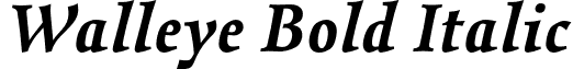 Walleye Bold Italic font - walleye.bold-italic.otf