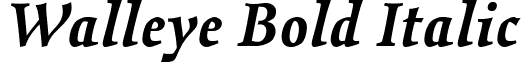 Walleye Bold Italic font - walleye.bold-italic.ttf