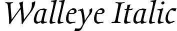 Walleye Italic font - walleye.italic.ttf