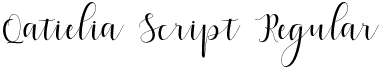 Qatielia Script Regular font - Qatielia Script.otf