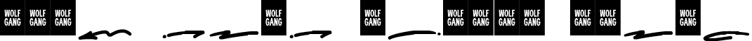 WOLF GANG SCRIPT SWASH font - WOLF-GANG-SCRIPT-SWASH.ttf