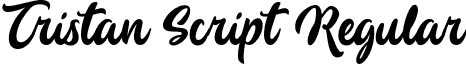 Tristan Script Regular font - Tristan Script.otf