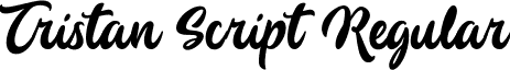 Tristan Script Regular font - Tristan Script.ttf