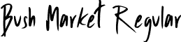 Bush Market Regular font - BushMarket-Regular.otf