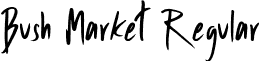 Bush Market Regular font - BushMarket-Regular.ttf