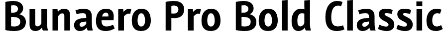 Bunaero Pro Bold Classic font - Buntype - BunaeroPro-BoldCl.otf