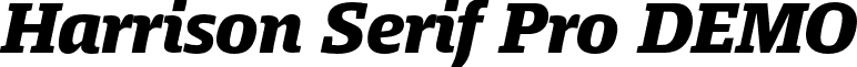 Harrison Serif Pro DEMO font - HarrisonSerifProDEMO-BlackItalic.otf