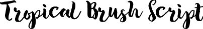 Tropical Brush Script font - Tropical Brush Script.otf