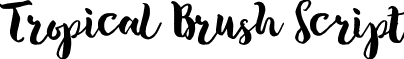 Tropical Brush Script font - Tropical Brush Script.ttf