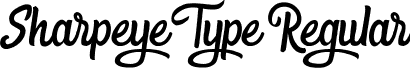 Sharpeye Type Regular font - sharpeye.ttf