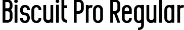 Biscuit Pro Regular font - Biscuit Pro.ttf