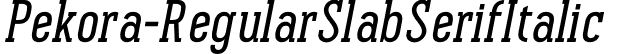 Pekora-RegularSlabSerifItalic & font - Pekora Regular Slab Serif Italic.otf