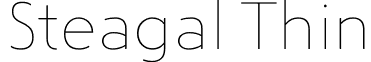 Steagal Thin font - Steagal-Th.otf
