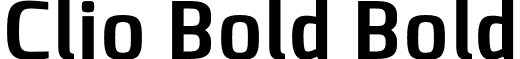Clio Bold Bold font - LeType - ClioBold-Bold.otf