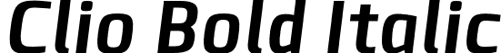 Clio Bold Italic font - LeType - ClioBoldItalic-Bold.otf