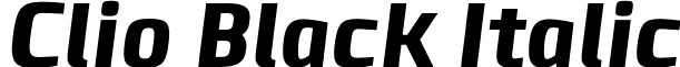 Clio Black Italic font - LeType - ClioBlackItalic-Black.otf