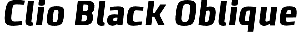 Clio Black Oblique font - LeType - ClioBlackOblique-Black.otf