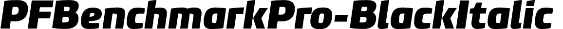 PFBenchmarkPro-BlackItalic & font - PF Benchmark Pro Black Italic.otf