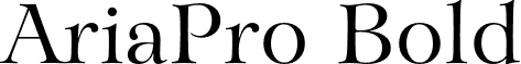 AriaPro Bold font - Aria Pro Regular.otf