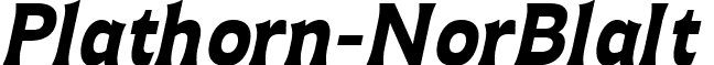 Plathorn-NorBlaIt & font - Plathorn Black Italic (2).ttf