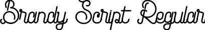 Brandy Script Regular font - Brandy Script.ttf