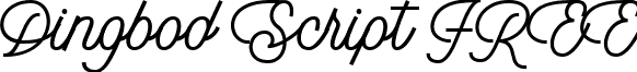 Dingbod Script FREE font - dingbod-script-free.ttf