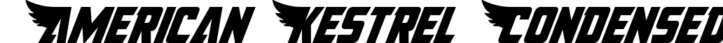 American Kestrel Condensed font - american-kestrel-condensed-2c39.ttf